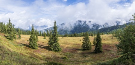 Colourful landscape with fog in autumn, Schladminger Tauern, Schladming, Styria, Austria