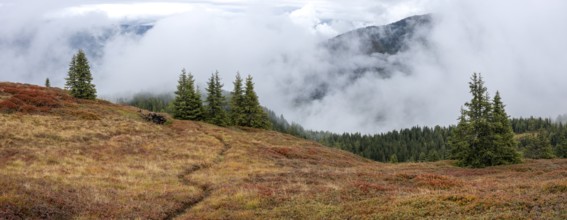 Colourful landscape with fog in autumn, Schladminger Tauern, Schladming, Styria, Austria