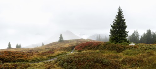 Colourful landscape with fog in autumn, Schladminger Tauern, Schladming, Styria, Austria