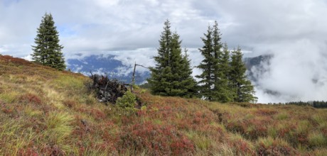 Colourful landscape with fog in autumn, Schladminger Tauern, Schladming, Styria, Austria
