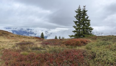Colourful landscape with fog in autumn, Schladminger Tauern, Schladming, Styria, Austria