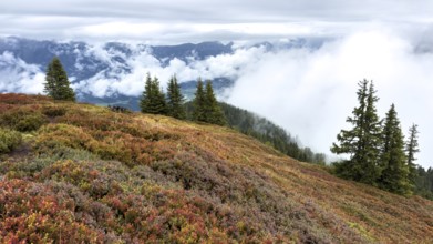 Colourful landscape with fog in autumn, Schladminger Tauern, Schladming, Styria, Austria
