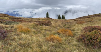 Colourful landscape with fog in autumn, Schladminger Tauern, Schladming, Styria, Austria