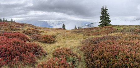 Colourful landscape with fog in autumn, Schladminger Tauern, Schladming, Styria, Austria