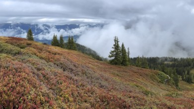 Colourful landscape with fog in autumn, Schladminger Tauern, Schladming, Styria, Austria