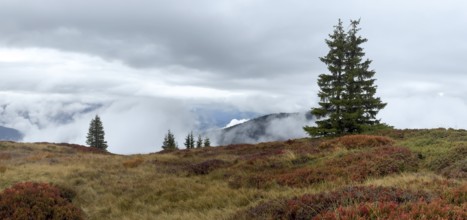 Colourful landscape with fog in autumn, Schladminger Tauern, Schladming, Styria, Austria