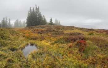 Colourful landscape with fog in autumn, Schladminger Tauern, Schladming, Styria, Austria