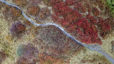 Hiking trail through colourful landscape in autumn, aerial view, Schladminger Tauern, Schladming,