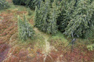 Colourful landscape in autumn, aerial view, Schladminger Tauern, Schladming, Styria, Austria