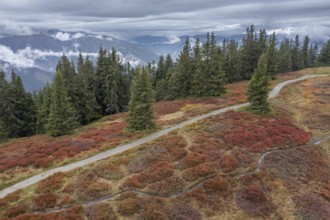 Hiking trail through colourful landscape in autumn, aerial view, Schladminger Tauern, Schladming,