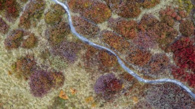 Hiking trail through colourful landscape in autumn, aerial view, Schladminger Tauern, Schladming,