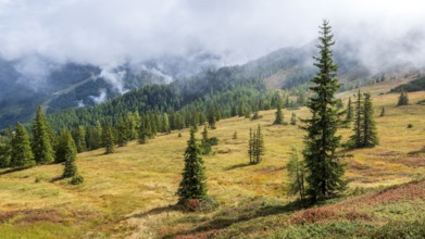 Colourful landscape with fog in autumn, Schladminger Tauern, Schladming, Styria, Austria