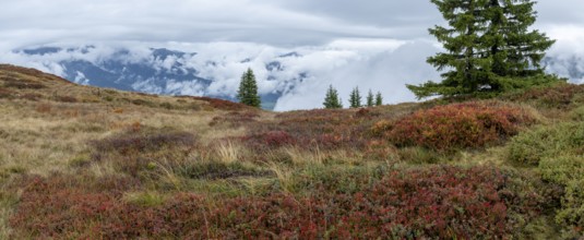 Colourful landscape with fog in autumn, Schladminger Tauern, Schladming, Styria, Austria
