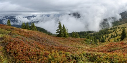Colourful landscape with fog in autumn, Schladminger Tauern, Schladming, Styria, Austria