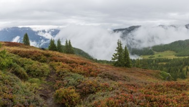 Colourful landscape with fog in autumn, Schladminger Tauern, Schladming, Styria, Austria