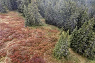 Colourful landscape in autumn, aerial view, Schladminger Tauern, Schladming, Styria, Austria