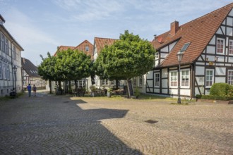 Paved courtyard with traditional half-timbered houses and trees. Historic and peaceful atmosphere,