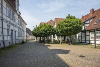 Cobbled courtyard with traditional half-timbered houses and trees on a sunny day, Verden an der
