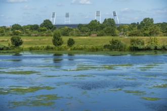 River with algae in the foreground, surrounded by trees and grass under a blue sky. A stadium can