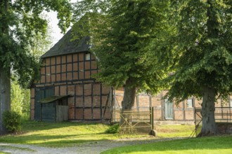 Half-timbered house surrounded by green trees and meadow on a sunny day, Bücken, district of