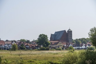 Village view with church in the background, seen from a meadow. Quiet, rural atmosphere, cathedral,