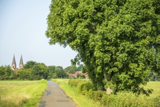 Rural scene with a path along a large tree, next to fields and a village in the background, Ev.