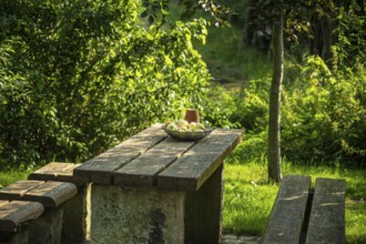 A garden table with fruit bowl and wooden bench, surrounded by green foliage in the sunlight,