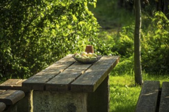 Wooden bench and table in the garden with fruit bowl, surrounded by lush greenery and sunlight,