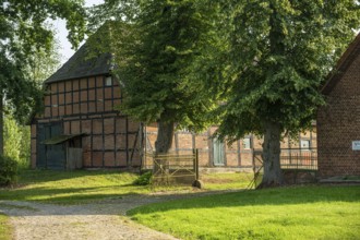 Half-timbered house in a rural setting with trees and green lawn in the sunlight, Bücken, Nienburg
