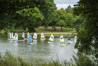 Sailing boats sailing on a quiet lake surrounded by green trees and nature, Aasee, Münster, North