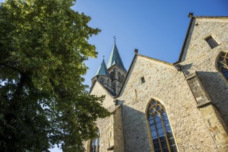 Gothic church with high towers and brick façade under a blue sky next to a large tree, St