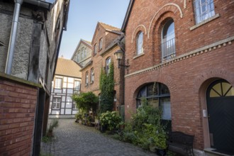 Narrow alley with red brick houses and lush plants on a sunny day, Warendorf, Münsterland, North