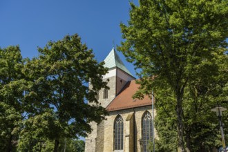 Gothic church with tower, surrounded by lush trees under a clear blue sky, Alverskirchen,