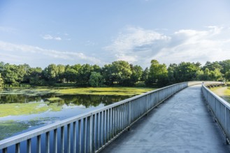 Bridge over a quiet river, surrounded by green trees and blue sky with clouds, Emssee near
