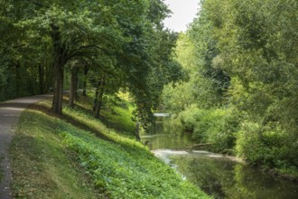 Quiet forest path along a river with densely overgrown trees in summer, Senden, Münsterland, North