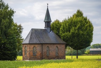 Brick chapel with green roof in the middle of a yellow field surrounded by trees, Senden,