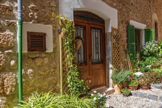 Entrance to residential house in an idyllic old cobblestone alley with green plants and flowers at