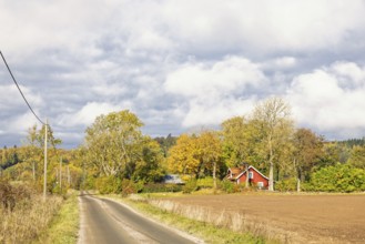 Gravel road to a farmhouse in a grove of trees in the countryside with beautiful autumn colors on
