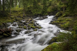 Riesach Falls, Styria, Untertal, Schladming, Austria