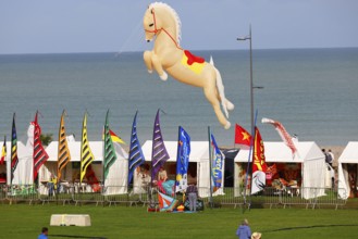 Kite festival on the beach, International Kite Festival, Dieppe, Normandy, France