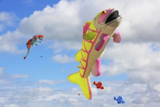 Kite Festival, International Kite Festival, Dieppe, Normandy, France