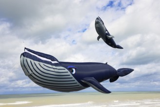 Kite festival, international kite festival, kites in the shape of whales, Dieppe, Normandy, France