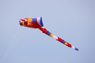 Kite Festival, International Kite Festival, Dieppe, Normandy, France
