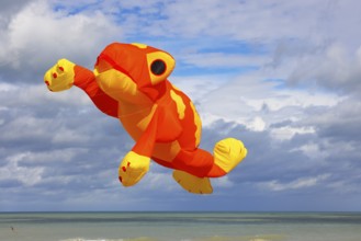 Kite festival on the beach, international kite festival, kite in the shape of a frog, Dieppe,