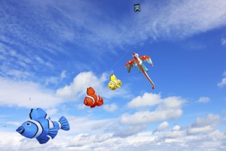 Kite Festival, International Kite Festival, Dieppe, Normandy, France