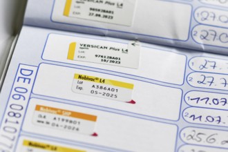 Germany - August 2025: Dog vaccination record in pet passport. Stamp of Nobivac L4 vaccine against