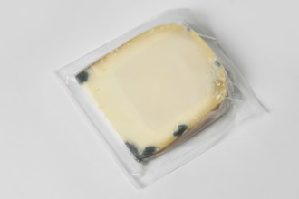 Sealed block of moldy goat cheese in packaging