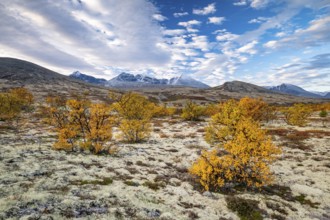 Autumn landscape in Rondane National Park, mountains, Døråldalen, Norway