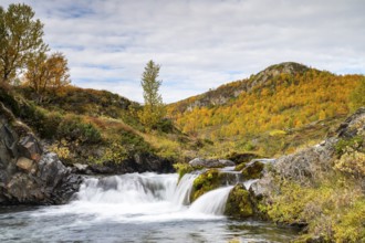 Waterfall and autumn landscape, River Grimse, Grimsdalen, Rondane, Dovre, Norway