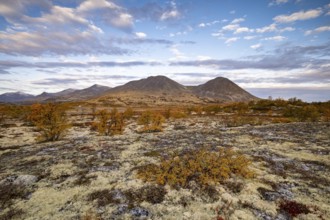 Autumn landscape in Rondane National Park, mountains, Døråldalen, Norway